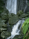 A Waterfall in El Yunque, Puerto Rico
