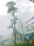 Praying Flags in the Dochula Pass, Between Wangdi and Thimphu, Bhutan