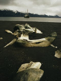 Old Whale Bones on a Black Sand Beach, with a Boat Anchored Offshore