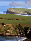Coastline at Long Point Near Papatowai, Papatowai, New Zealand