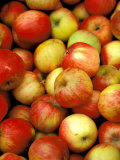 Buy Apples, Ferry Building Farmer's Market, San Francisco, California, USA at AllPosters.com