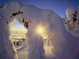 Sunset Thru the Snowghosts, Big Mountain, Whitefish, Montana, USA