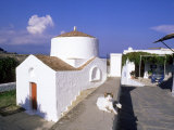 Buy Cat Beside Church in Lindos, Greece at AllPosters.com