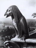 Buy Statue Depicting a Fantastic Eagle on the Exterior of the Cathedral of Notre-Dame, Paris at AllPosters.com