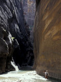 Hikers in Zion Narrows, Zion National Park, UT, USA