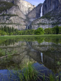 Buy Yosemite Falls, California, USA at AllPosters.com