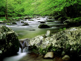Buy Summer Scene Along West Prong of Little River, USA at AllPosters.com