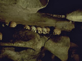 Lines of Skulls in Cave, Indonesia