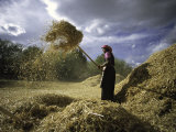 Buy Woman with Straw, Tibet at AllPosters.com