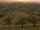 Rolling Foothills of the Sierra Nevada Spotted with Oak Trees near Bakersfield, California