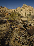 Buy Desert Queen Ranch at Joshua Tree National Park, California at AllPosters.com