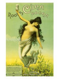 Buy Root's Cuca Cocoa at AllPosters.com