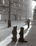 Les Chiens de la Chapelle