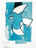 Oiseau Bleu et Gris
