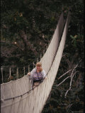 A Biologist Observes the Forest Canopy by Walking Along a Suspended Walkway