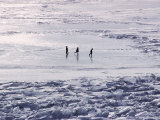 Buy Skaters on the Frozen Lake at AllPosters.com