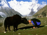Buy A Woman Bows to Greet a Yak in Pakistan at AllPosters.com