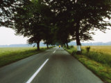 Road Through the German Countryside
