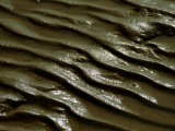 Tidal Flat