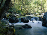 Buy Woodland View of a Small Creek Flowing over Boulders at AllPosters.com