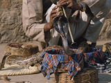 A Snake Charmer Plays to His Cobra in the Streets of Mysore