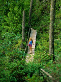 Buy A Woman Strolls over a Wooden Footbridge in British Columbia at AllPosters.com