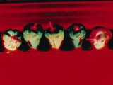 Green Peppers