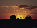 Buy A Skinny Man and His Donkey at AllPosters.com