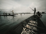 Buy Fishermen on Chingri Ghata at AllPosters.com