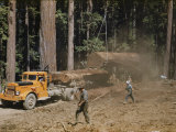Buy Lumbermen Transport Redwood Trees to a Nearby Mill at AllPosters.com