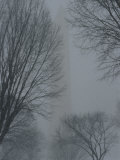 Buy The Washington Monument in the Snow at AllPosters.com