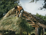 Buy Seminole Indian Thatching a Chickee with Palm Fronds at AllPosters.com