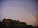 Buy Rainbow over Treetops at AllPosters.com