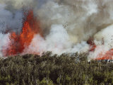 Buy Fountains of Lava Explode as a New Volcanic Rift Slices Through Virgin Forest at AllPosters.com