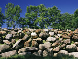 Buy Stone Wall with Trees in the Background at AllPosters.com