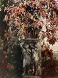 In the Garden of the Wilanow Palace, Which was Once Owned by John Sobieski