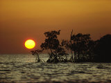 Sunrise in Everglades National Park, Florida