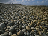 Buy Stones Line a Beach on New Zealands South Island at AllPosters.com