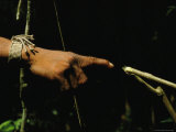 Buy Trackers Rely on Small Signs to Locate the Flecheiro Tribe at AllPosters.com