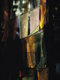 Buddhist Prayer Flags Hang in the Trees in Darjeeling