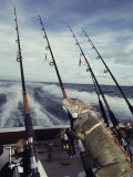 A Pet Iguana Appears to Be Fishing from the Back of a Moving Boat Photographic Print