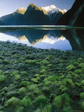 Buy Mountains Reflected in Milford Sound at AllPosters.com