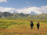 Buy Man and Woman with Backpacks and Walking Sticks Cross Meadow at AllPosters.com