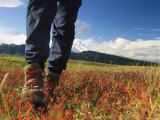 Buy Close View of Womans Hiking Boots with Meadow and Mountains at AllPosters.com