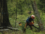 Logging Near Salmon, Idaho