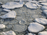 Sea Ice off the Shiretoko Peninsula