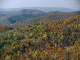 Buy Fall Colors in Forests Along Tanners Ridge, with View of Massanutten Mountain at AllPosters.com
