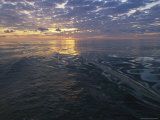 Buy Sunrise is Reflected on the Wake of a Boat at AllPosters.com