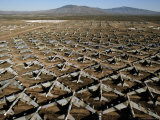 Buy Field of Military Planes at AllPosters.com