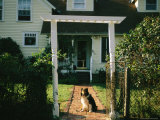 A Sheltie Sits on a Brick Walk in Front of a Home